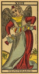 Load image into Gallery viewer, Tarot de Marseille - Limited Edition
