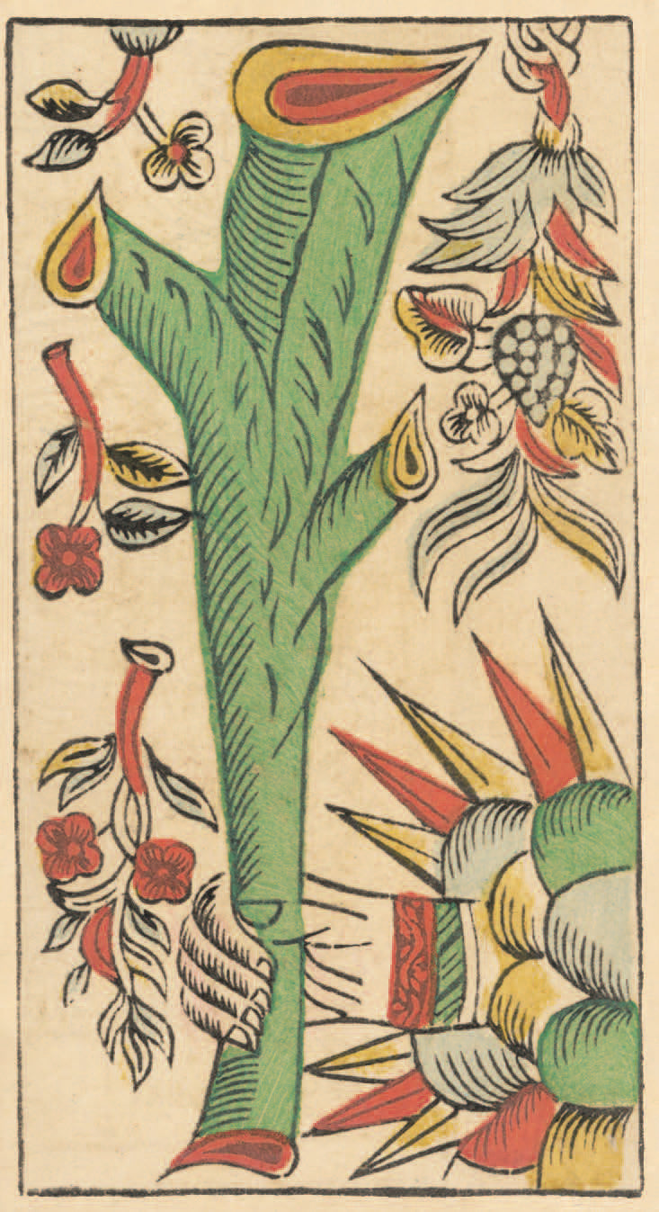 Tarot de Marseille Gassmann - Edizione Limitata