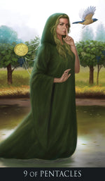 Carica l'immagine nel visualizzatore di Gallery, Silver Witchcraft Tarot - Nuova Edizione

