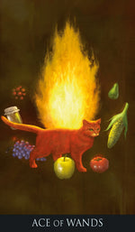 Carica l'immagine nel visualizzatore di Gallery, Silver Witchcraft Tarot - Nuova Edizione
