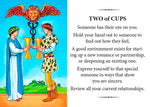 Carica l'immagine nel visualizzatore di Gallery, The Gift of Tarot - Confezione da tre buste
