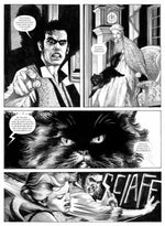 Carica l&#39;immagine nel visualizzatore di Gallery, Edgar Allan Poe - Cinque passi nell&#39;Incubo - Edizione Limitata
