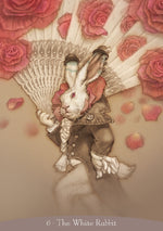 Load image into Gallery viewer, Alice in Wonderland Oracle
