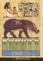 Carica l&#39;immagine nel visualizzatore di Gallery, Egyptian Sacred Animals Oracle

