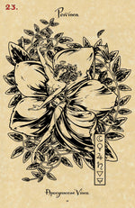 Carica l'immagine nel visualizzatore di Gallery, The Magickal Botanical Oracle
