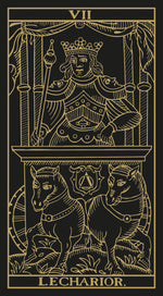 Carica l&#39;immagine nel visualizzatore di Gallery, Marseille Tarot Gold &amp; Black Edition
