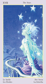Upload the image to the Gallery viewer,Fey Tarot
