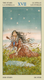 Upload the image to the Gallery viewer,Native American Tarot
