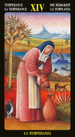 Upload the image to the Gallery viewer,Bosch Tarot
