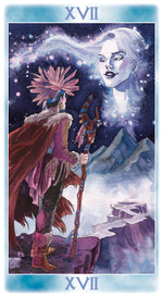 Upload the image to the Gallery viewer,Shaman Tarot
