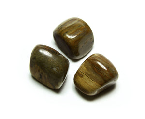 Petrified Wood - Tumble Crystals