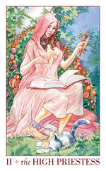 Upload the image to the Gallery viewer,Mini Sexual Magic Tarot
