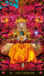 Upload the image to the Gallery viewer,Starman Tarot
