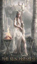 Upload the image to the Gallery viewer,Runic Tarot
