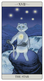 Upload the image to the Gallery viewer,The way Jodorowsky explained Tarot to his Cat
