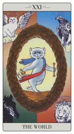 Upload the image to the Gallery viewer,The way Jodorowsky explained Tarot to his Cat
