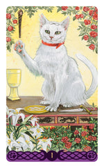 Load image into Gallery viewer, Mini Pagan Cats Tarot
