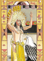 Upload the image to the Gallery viewer,Native American Oracle
