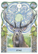 Carica l&#39;immagine nel visualizzatore di Gallery, Celtic Astrology Oracle
