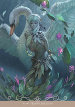 Upload the image to the Gallery viewer,Night Fairies Oracle Cards
